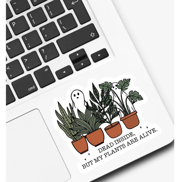 https://cdn.faire.com/fastly/168fbb3d89016985157d6a34fb1f770b84b1f4ac04176a1199cdd8e83feed4c9.png?bg-color=FFFFFF&dpr=1&fit=crop&format=jpg&height=720&width=720